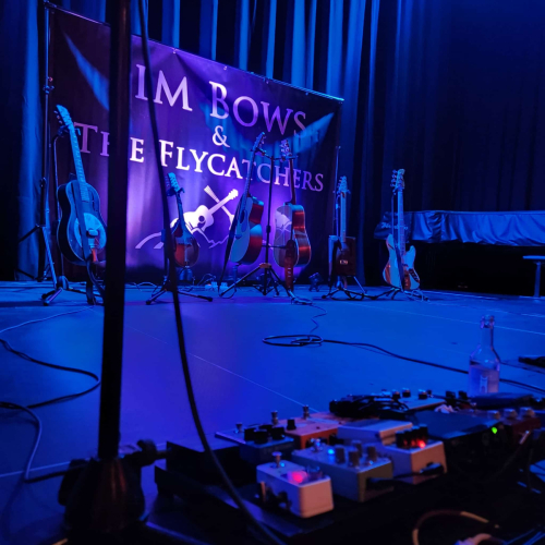 Jim Bows & The Flycatchers